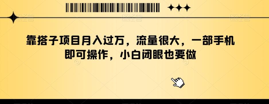 靠搭子项目月入过万，流量很大，一部手机即可操作，小白闭眼也要做-test