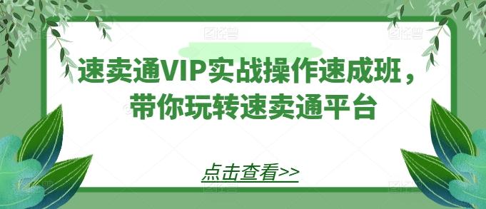 速卖通VIP实战操作速成班，带你玩转速卖通平台-test