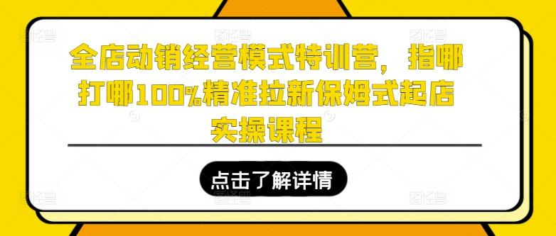 全店动销经营模式特训营，指哪打哪100%精准拉新保姆式起店实操课程-test