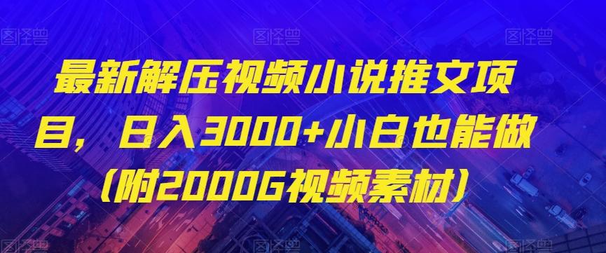 最新解压视频小说推文项目，日入3000+小白也能做（附2000G视频素材）【揭秘】-test