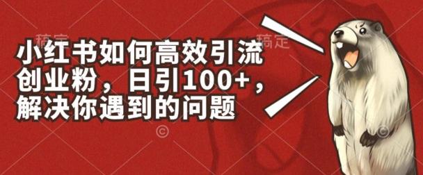 小红书如何高效引流创业粉，日引100+，解决你遇到的问题【揭秘】-test