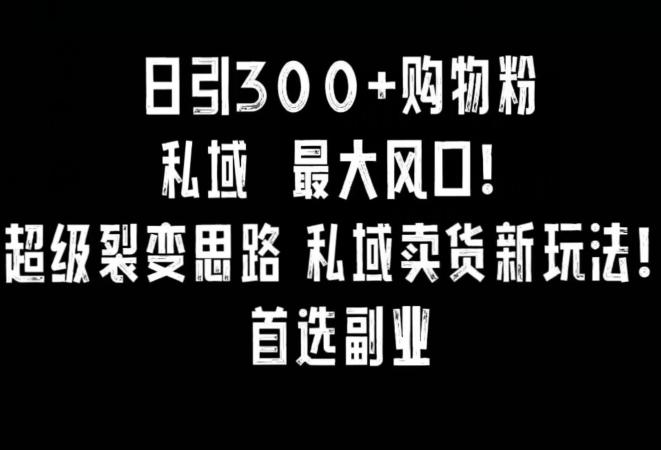 日引300+购物粉，超级裂变思路，私域卖货新玩法，小红书首选副业【揭秘】-test