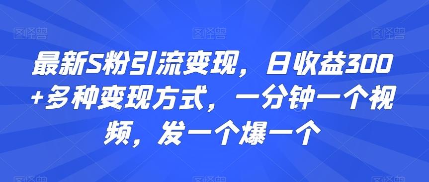 最新S粉引流变现，日收益300+多种变现方式，一分钟一个视频，发一个爆一个【揭秘】-test