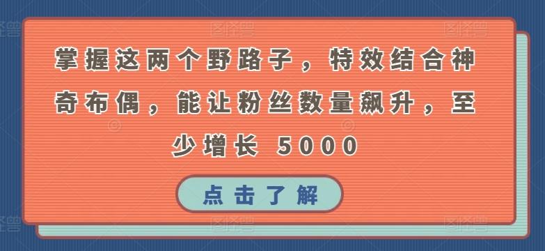 掌握这两个野路子，特效结合神奇布偶，能让粉丝数量飙升，至少增长 5000【揭秘】-test