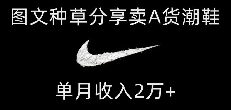 靠图文种草分享卖A货潮鞋，每天一小时，单月收入2万+【揭秘】-test