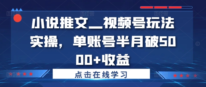 小说推文—视频号玩法实操，单账号半月破5000+收益-test