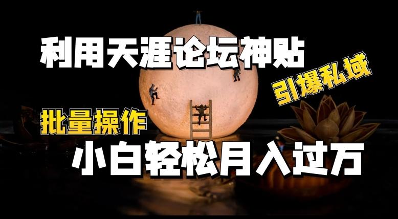 利用天涯论坛神贴，引爆私域，批量操作，小白轻松月入过w【揭秘】-test