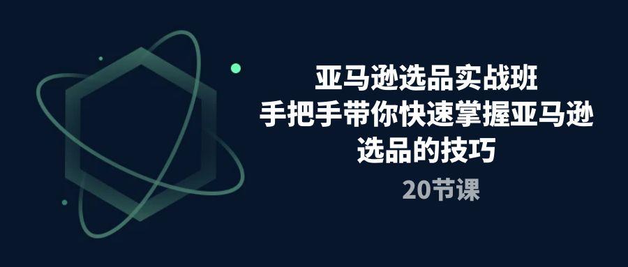 亚马逊选品实战班，手把手带你快速掌握亚马逊选品的技巧(20节课-test