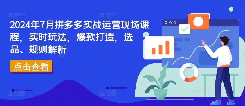 2024年7月拼多多实战运营现场课程，实时玩法，爆款打造，选品、规则解析-test