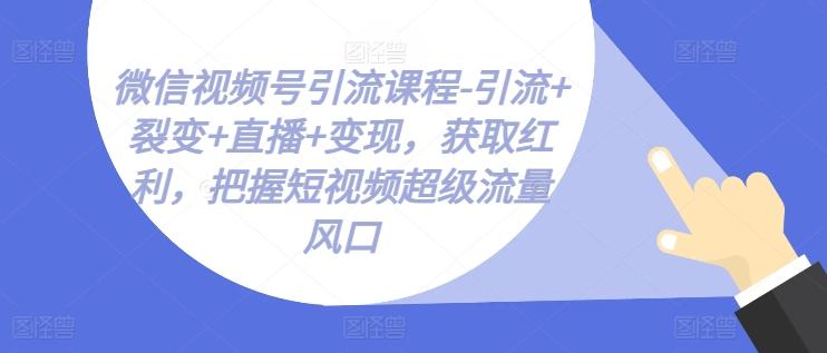 微信视频号引流课程-引流+裂变+直播+变现，获取红利，把握短视频超级流量风口-test