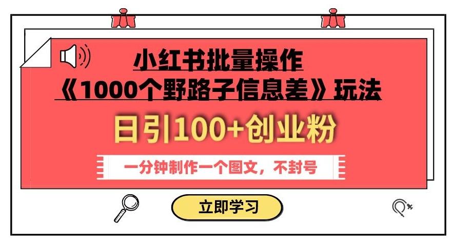 小红书批量操作《1000个野路子信息差》玩法，一分钟制作一个图文，不封号，日引100+创业粉-test