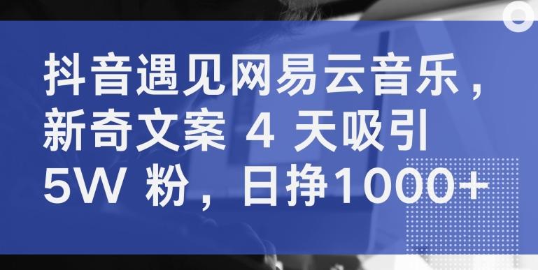 抖音遇见网易云音乐，新奇文案 4 天吸引 5W 粉，日挣1000+【揭秘】-test