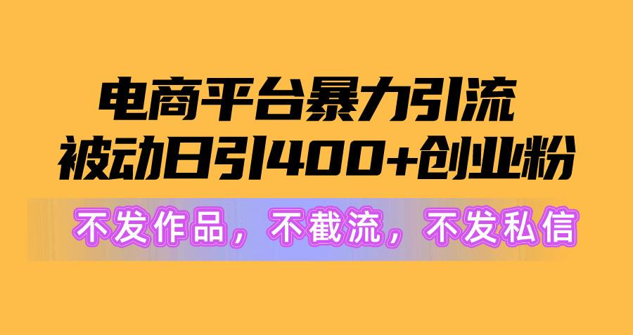 图片[1]-电商平台暴力引流,被动日引400+创业粉不发作品，不截流，不发私信-test