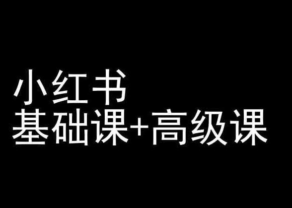 小红书基础课+高级课-小红书运营教程-test