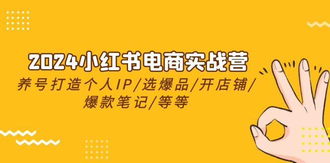 2024小红书电商实战营，养号打造IP/选爆品/开店铺/爆款笔记/等等(24节)-test