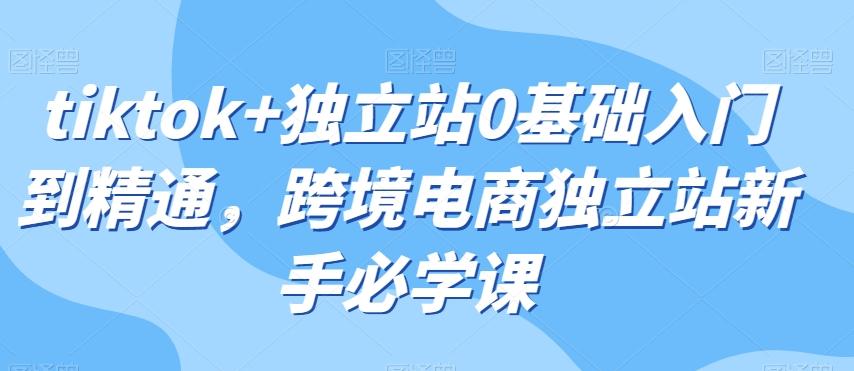 tiktok+独立站0基础入门到精通，跨境电商独立站新手必学课-test