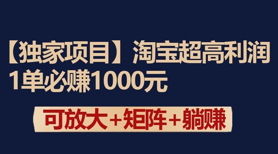 独家淘宝超高利润项目：1单必赚1000元，可放大可矩阵操作-test