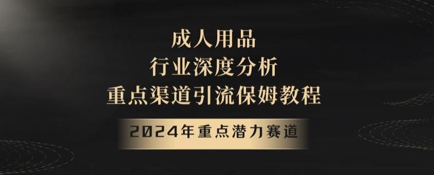 2024年重点潜力赛道，成人用品行业深度分析，重点渠道引流保姆教程【揭秘】-test