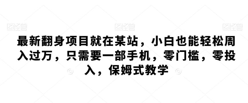 最新翻身项目就在某站，小白也能轻松周入过万，只需要一部手机，零门槛，零投入，保姆式教学-test