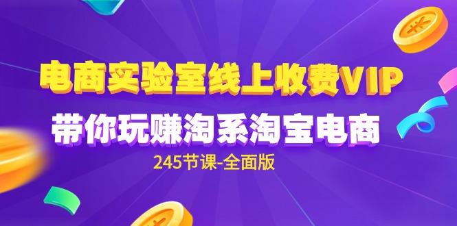 (9859期)电商-实验室 线上收费VIP，带你玩赚淘系淘宝电商(245节课-全面版)-test