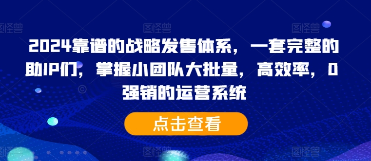 2024靠谱的战略发售体系，一套完整的助IP们，掌握小团队大批量，高效率，0 强销的运营系统-test