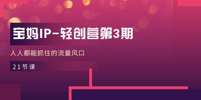 宝妈IP-轻创营第3期，人人都能抓住的流量风口(21节课-test