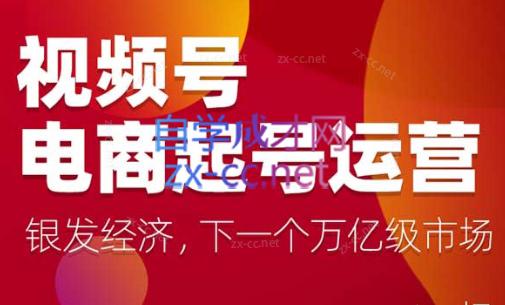 陈大黑牛·视频号电商起号运营课(更新到24年5月)-test