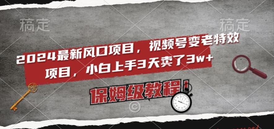 2024最新风口项目，视频号变老特效项目，电脑小白上手3天卖了3w+，保姆级教程【揭秘】-test