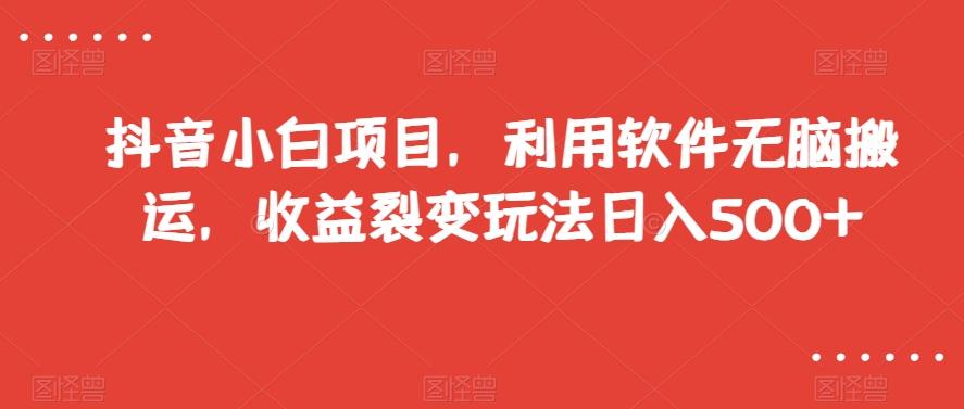 抖音小白项目，利用软件无脑搬运，收益裂变玩法日入500+【揭秘】-test