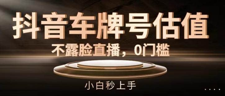 抖音车牌号估值，不露脸直播，0门槛，小白秒上手【揭秘】-test