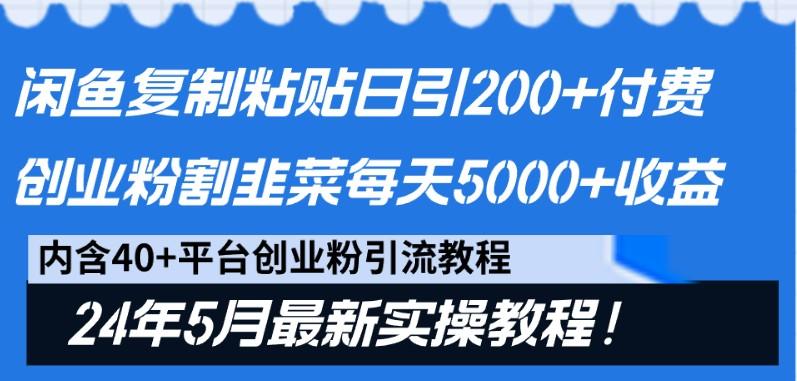 闲鱼复制粘贴日引200+付费创业粉，24年5月最新方法！割韭菜日稳定5000+收益-test