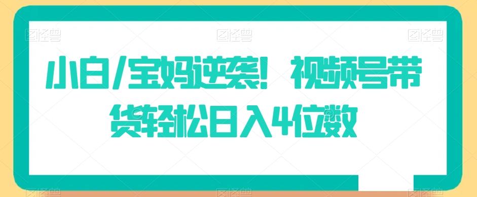 小白/宝妈逆袭！视频号带货轻松日入4位数【揭秘】-test