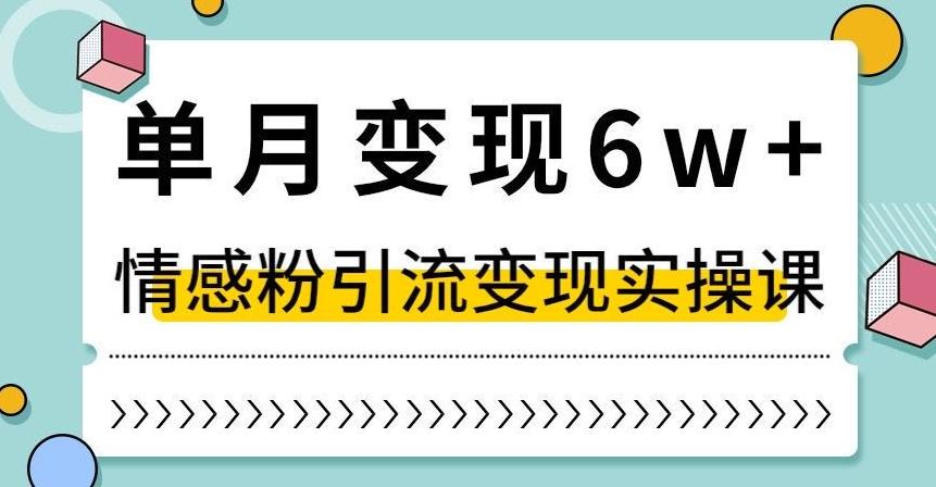 单月变现6W+，抖音情感粉引流变现实操课，小白可做，轻松上手，独家赛道【揭秘】-test