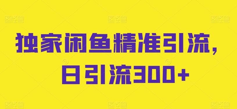 独家闲鱼精准引流，日引流300+【揭秘】-test