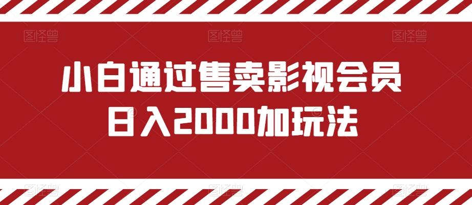 小白通过售卖影视会员日入2000加玩法-test