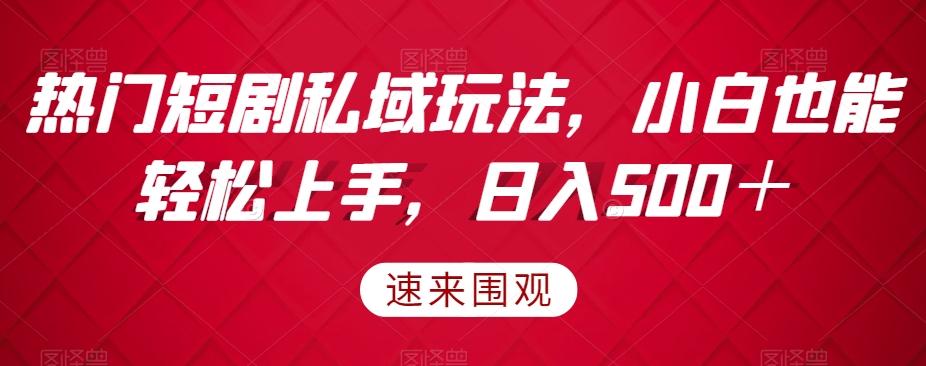热门短剧私域玩法，小白也能轻松上手，日入500＋-test