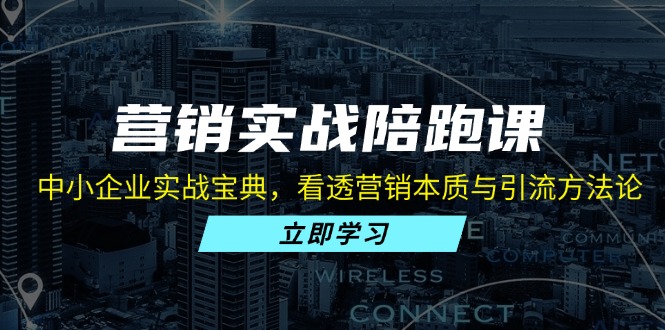 营销实战陪跑课：中小企业实战宝典，看透营销本质与引流方法论-test
