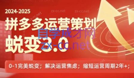 大力老师·2024拼多多运营策略蜕变3.0-test