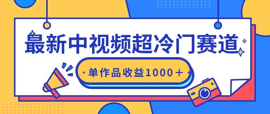 (9275期)最新中视频超冷门赛道，轻松过原创，单条视频收益1000＋-test
