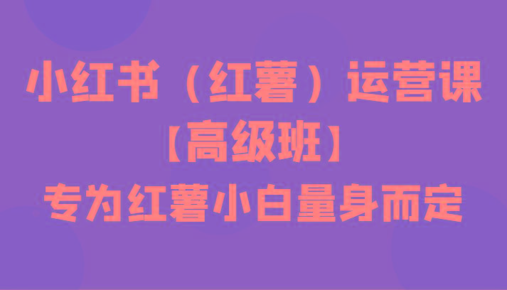 小红书(红薯)运营课【高级班】，专为红薯小白量身而定(42节课)-test