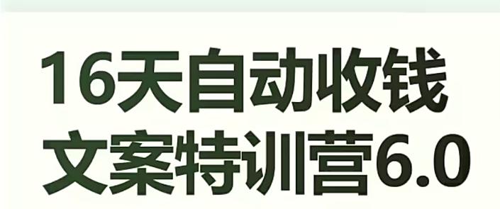 16天自动收钱文案特训营6.0，学会儿每天自动咔咔收钱-test