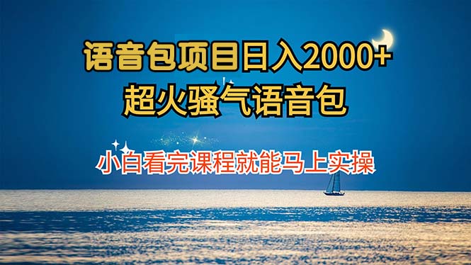 语音包项目 日入2000+ 超火骚气语音包小白看完课程就能马上实操-test