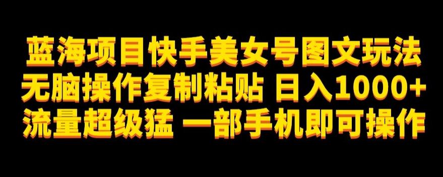 蓝海项目快手美女号图文玩法，无脑操作复制粘贴，日入1000+流量超级猛一部手机即可操作【揭秘】-test