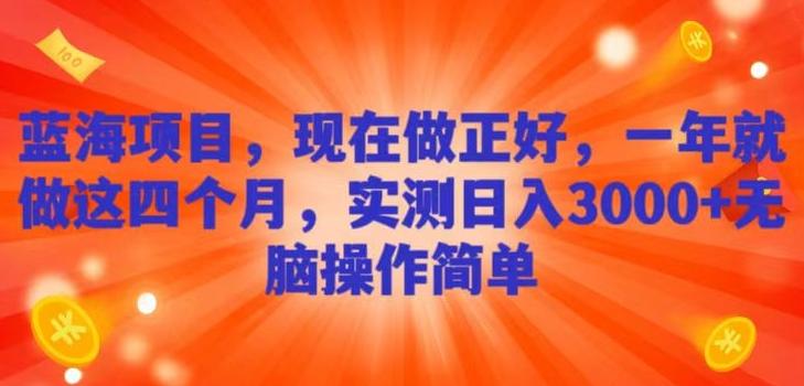 蓝海项目，现在做正好，一年就做这4个月，实测日入3000+，无脑简单操作！-test