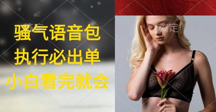 (9589期)执行就出单，日入2000+，超火骚气语音包，小白看完课程就能马上实操-test