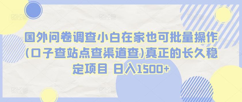 国外问卷调查小白在家也可批量操作(口子查站点查渠道查)真正的长久稳定项目 日入1500+【揭秘】-test
