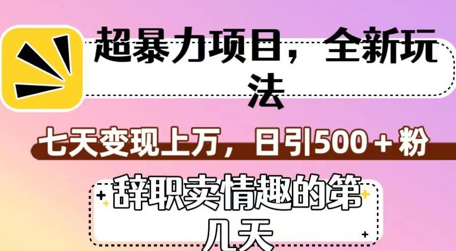 超暴利项目，全新玩法（辞职卖情趣的第几天），七天变现上万，日引500+粉【揭秘】-test