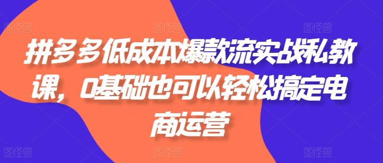 拼多多低成本爆款流实战私教课，0基础也可以轻松搞定电商运营-test