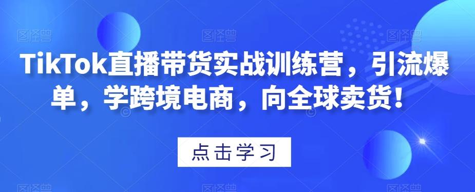 TikTok直播带货实战训练营，引流爆单，学跨境电商，向全球卖货！-test
