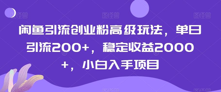 闲鱼引流创业粉高级玩法，单日引流200+，稳定收益2000+，小白入手项目-test